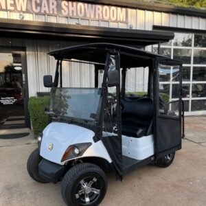 2019 Yamaha Drive2