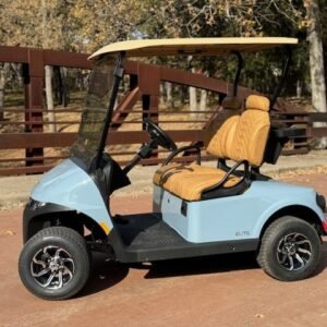 2025 E-Z-GO RXV Elite – Lithium